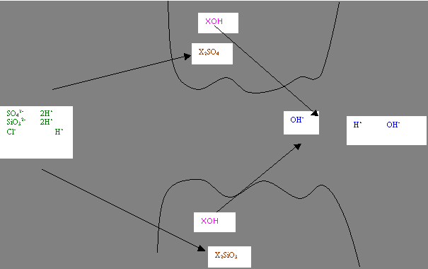 Principe van anionwisselaar